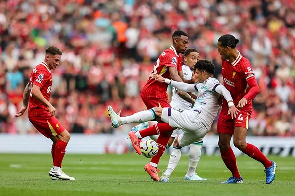 ต้นต่อเสียประตู