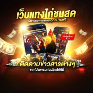 เว็บไก่ชน ufabet